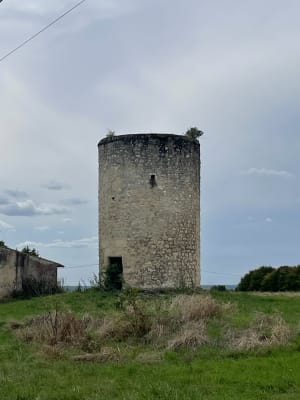 Balade à Saint Seurin de Bourg - Dominique - 6
