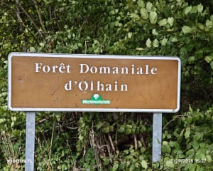 Autour de la base d'Olhain - Sébastien - 3