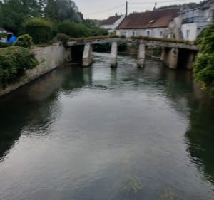 Chemin de la radine - Anthony - 2