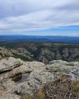 Le plateau du Caroux et Peyre Grosse - Ambre - 4