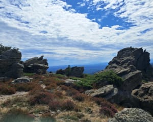 Le plateau du Caroux et Peyre Grosse - Ambre - 3