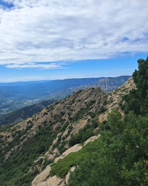Le plateau du Caroux et Peyre Grosse - Ambre - 5