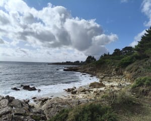 Nettoyage de plage au cabellou - GUY - 7