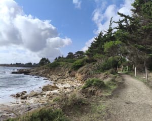 Nettoyage de plage au cabellou - GUY - 6