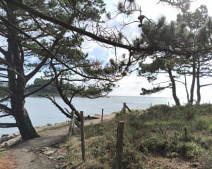 Nettoyage de plage au cabellou - GUY - 9