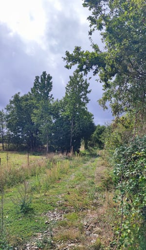 Randonnée la Bouère de l'Evre - Jeanne-Marie - 6