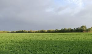 Le long des canaux de la Sablière - Gaetan - 2