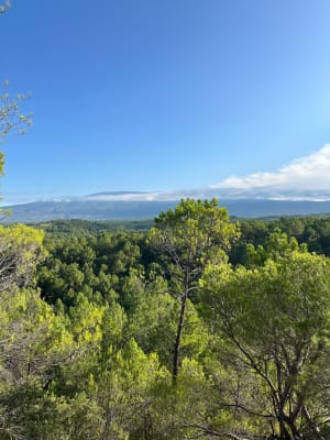 Du bleu du lac au rouge des ocres de Mormoiron - Emmanuelle - 7