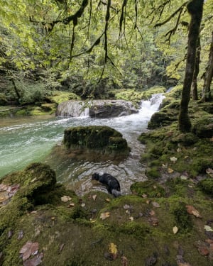 De Mouthier-Haute-Pierre à la source de la Loue - julien - 8