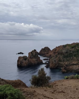 Sentier du littoral à Dramont - sébastien - 19