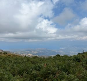 Monte Asto au départ de San Gavino di Tenda - San-Gavino-di-Tenda - 3