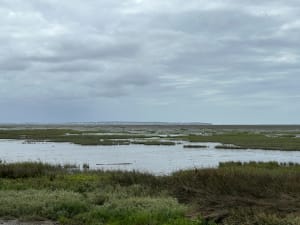 Een korte wandeling door de quincunxen - Anne Marie - 13