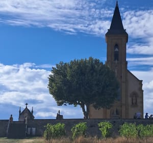 Balade dans les vignes des Pierres Dorees - Emilien - 3