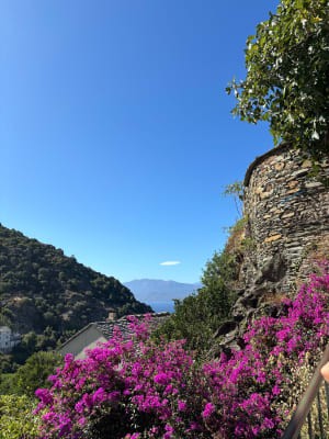 Nonza et plage de Baracataggio - Nonza - 9