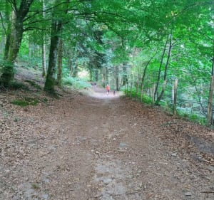 Le tour du parc aux loups Guéret - Pat - 3