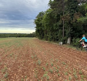 Le tour de la Cabiotte Maurice par Pourrots - Alison - 5