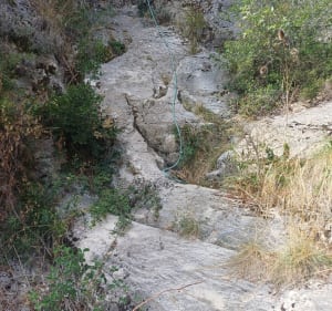 Sentier de la Barbade - Nathalie - 4
