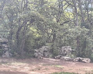 Circuit de la Vierge (bois de Païolive) - Sebastien - 8