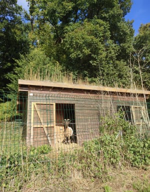 Boucle de Broglie par bois moulin de Prey - Didier - 5