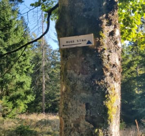 De Russ au Mullerplatz - DOMINIQUE - 2