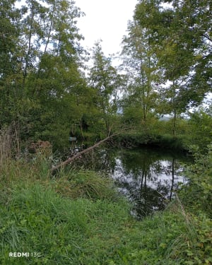 Au fil de l'eau, par le Pont de la Chèvre et de la Corneille - Manon - 3