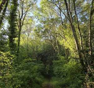 Chemin de Puychérand et découverte de Saint-Jean-d'Angély - Noémie - 3