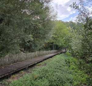 Chemin de Puychérand et découverte de Saint-Jean-d'Angély - Noémie - 2