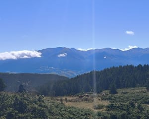 Randonnée paisible au pied du Roc de la Calma - Celine - 8