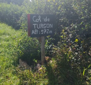 Thoregna à Turgon - Laurent - 3