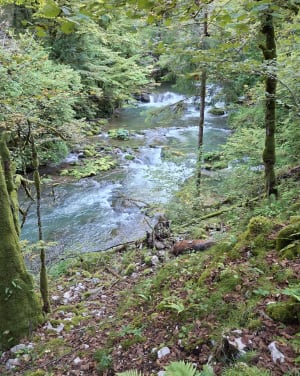 De Mouthier-Haute-Pierre à la source de la Loue - Laurent - 5