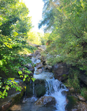 Balade du Puy Chirouzan - Gabye - 6