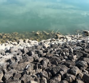 Tour du Lac de Bartras - Kelly - 2
