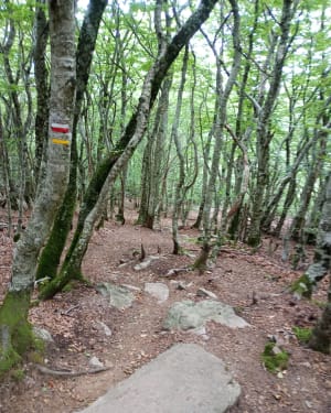 Wandelen op de Caroux - Gérard - 6