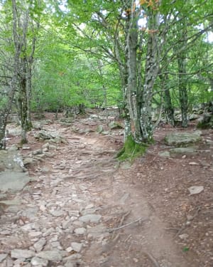 Wandelen op de Caroux - Gérard - 8