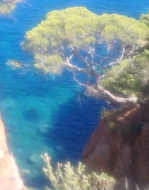 Sentier du littoral à Dramont - Celine - 15