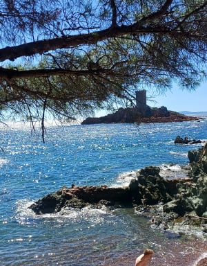 Sentier du littoral à Dramont - Celine - 16
