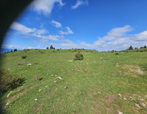 Entre forêts et alpages sous le Pic des Mémises - Thollon-les-Mémises - 8