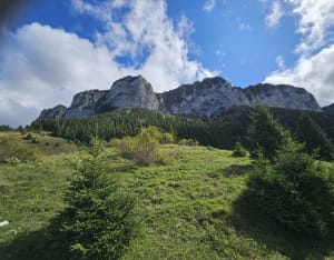 Entre forêts et alpages sous le Pic des Mémises - Thollon-les-Mémises - 7