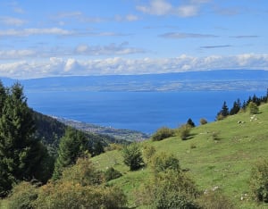 Entre forêts et alpages sous le Pic des Mémises - Thollon-les-Mémises - 6