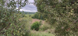 Randonnée Ville sur Illon 88 - Stéphane - 9