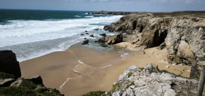 Petite balade sur la côte sauvage de Quiberon - Michel - 4