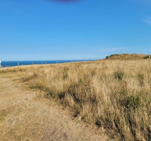 Notre Dame des falaises - Pascal - 2