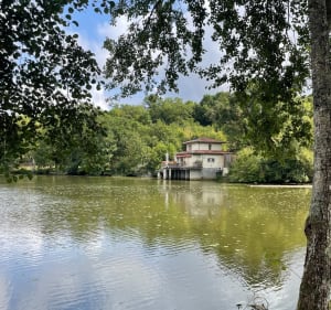 Autour du domaine thermal à Miers - Martin - 2