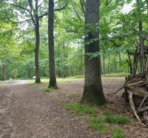 Bois de Sainte Apoline, par Etang de Plaisir - Magali - 2
