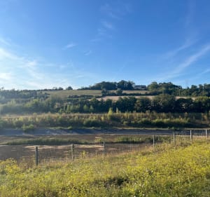 Petit tour par le haut d Hesdin-l’Abbé et la forêt - LORINE - 2