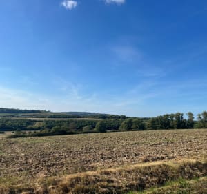 Petit tour par le haut d Hesdin-l’Abbé et la forêt - LORINE - 4