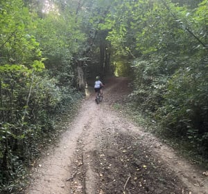 Petit tour par le haut d Hesdin-l’Abbé et la forêt - LORINE - 3