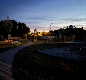 Balade au crépuscule aux abords de Bettrechies - Berengere - 3