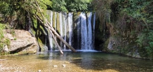 Loop van de Groene Waterval naar de Witte Waterval - Alain - 9