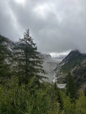 De Chamonix au point de vue de la Mer de Glace par le Chapeau - julie - 12
